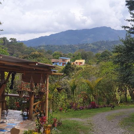 Eco Hotel Manu Viajeros San Agustín Екстериор снимка