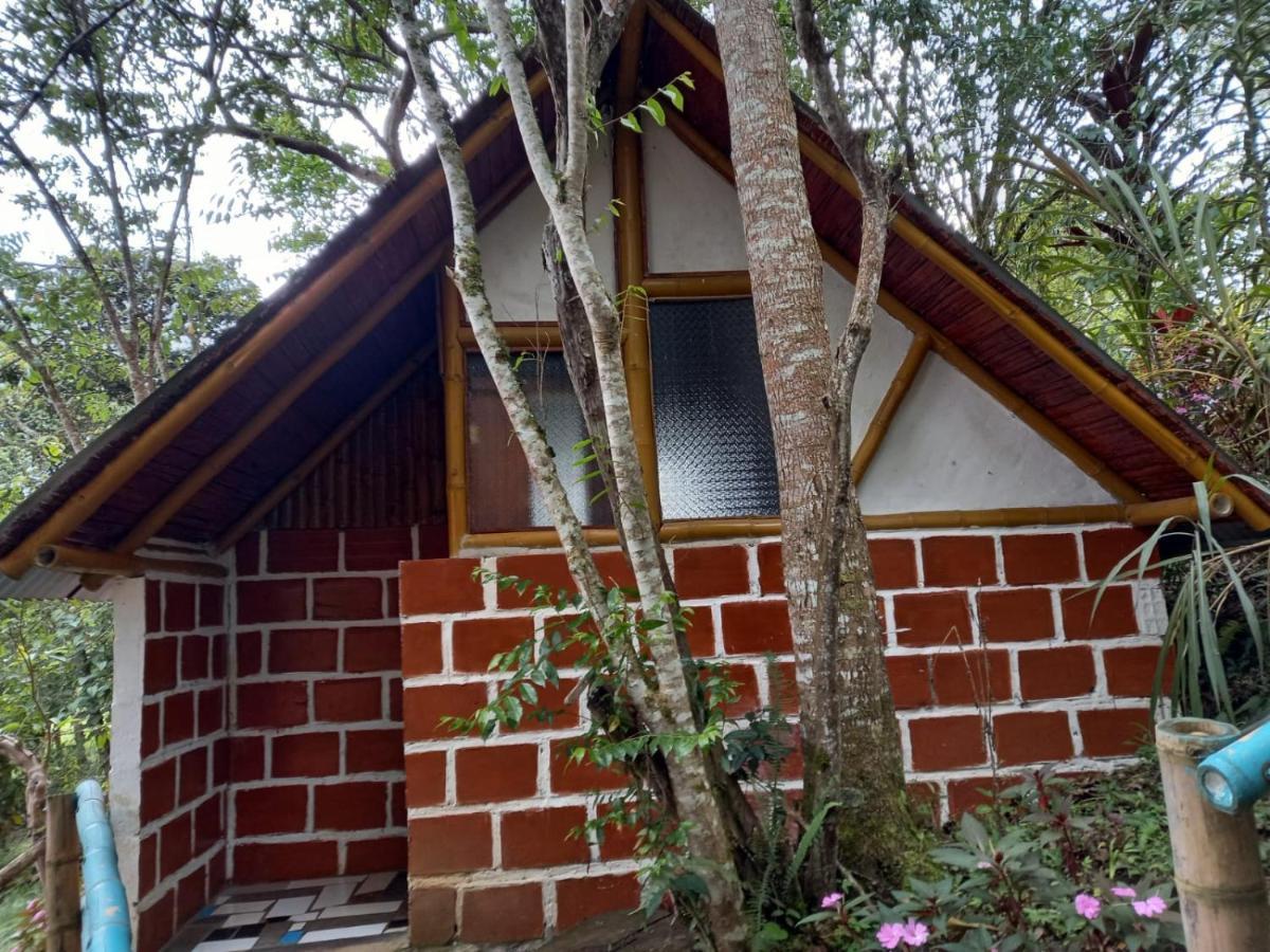 Eco Hotel Manu Viajeros San Agustín Екстериор снимка