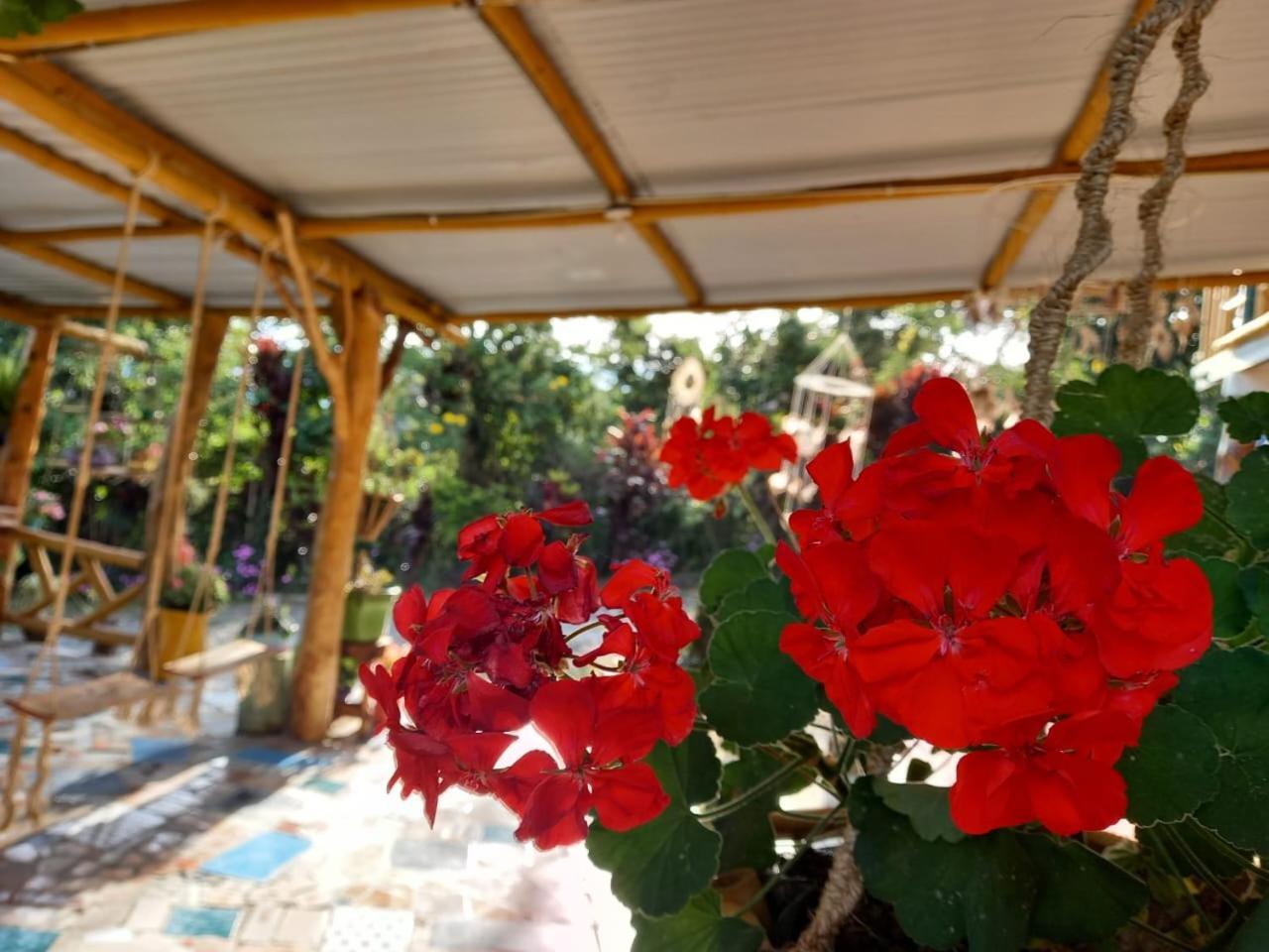 Eco Hotel Manu Viajeros San Agustín Екстериор снимка