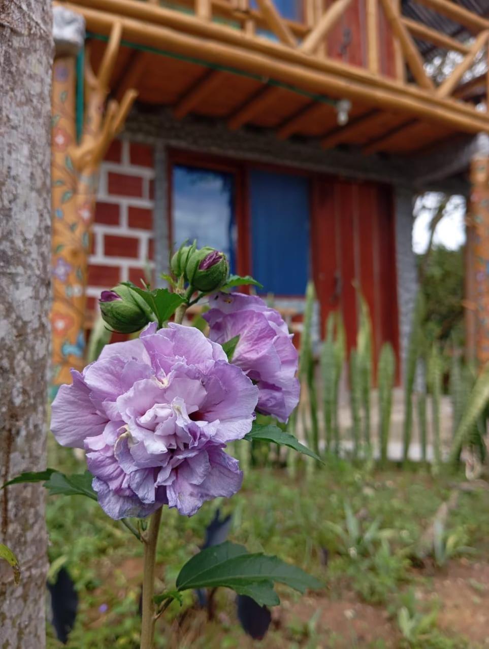 Eco Hotel Manu Viajeros San Agustín Екстериор снимка