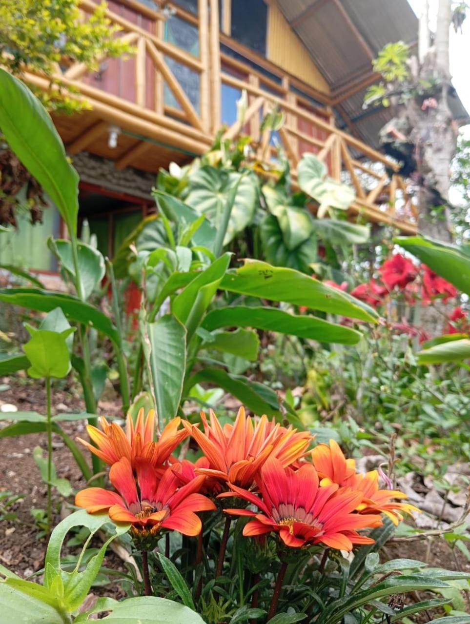 Eco Hotel Manu Viajeros San Agustín Екстериор снимка